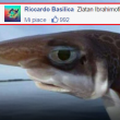 commenti-memorabili-facebook (40)