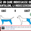 commenti-memorabili-facebook (66)