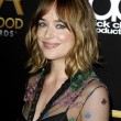 Dakota Johnson, chi è l'attrice del film 50 sfumature di grigio 22