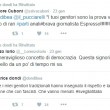 Beatrice Dondi: "Fascisti vanno menati". Insulti su Twitter