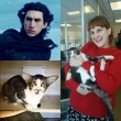 Kylo Ren versione gatto. Padrona: Uguali, venga a conoscerlo
