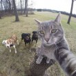 Manny, il gatto capace di farsi i selfie FOTO2