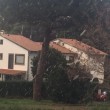 YOUTUBE Neve a Roma: sui social tripudio di FOTO e VIDEO03
