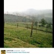 YOUTUBE Neve a Roma: sui social tripudio di FOTO e VIDEO05