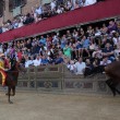 Palio di Siena, no ad Elisabetta: non andrà a festa regina 5