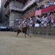 Palio di Siena, no ad Elisabetta: non andrà a festa regina 9