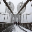 Tempesta Jonas sugli Usa: New York ferma, morti salgono a 19 3