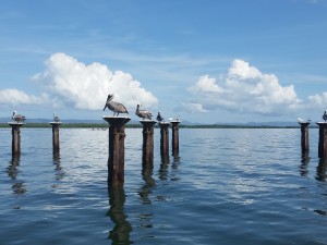 Repubblica Dominicana