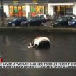 Auto va sott'acqua mamma e figlio salvi per miracolo14