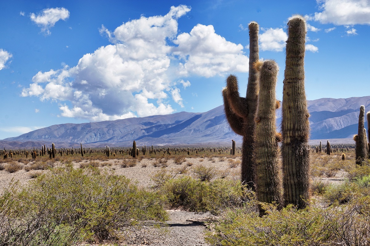 Provincia di Salta Argentina