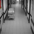 Finto medico rubava in ospedale a Sesto San Giovanni6