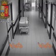 Finto medico rubava in ospedale a Sesto San Giovanni5