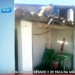 Macaco ubriaco terrorizza clienti bar col machete