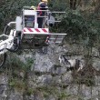Pompieri salvano capra bloccata nella gola di montagna3
