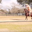 Tirannosauro a cavallo: VIDEO demenziale3