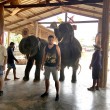 YOUTUBE Elefante massaggia turisti in Thailandia: nuova moda02