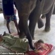 YOUTUBE Elefante massaggia turisti in Thailandia: nuova moda04