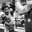 Manny Pacquiao: "I gay sono peggio degli animali" 04
