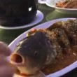 YOUTUBE Pesce bollito in tavola: gli danno alcol e...vive 2