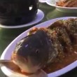 YOUTUBE Pesce bollito in tavola: gli danno alcol e...vive 3