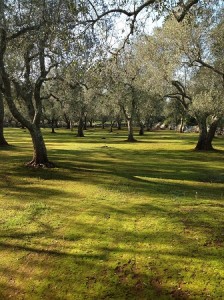 Scoprire il Salento