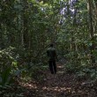 Zika: nella foresta in Uganda dove è nato il virus (FOTO)1
