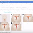 YOUTUBE Manuale per insegnare sesso a migranti: idea tedesca 5