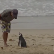 VIDEO YOUTUBE Pinguino torna ogni anno dal suo salvatore e.. 2