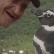 VIDEO YOUTUBE Pinguino torna ogni anno dal suo salvatore e.. 6