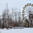 Chernobyl 30 anni dopo: mangiano cibo ancora contaminato05