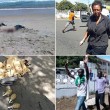 Costa d'Avorio, attacco a resort: almeno 15 morti VIDEO 01