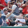 Mazza da baseball su viso bambino, il tifoso vicino... FOTO