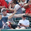 Mazza da baseball su viso bambino, il tifoso vicino... FOTO