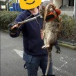 Ratto gigante in parco giochi per bimbi a Londra: lungo 1,2m 2