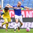 Sampdoria-Chievo: diretta live su Blitz13