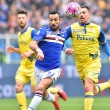 Sampdoria-Chievo: diretta live su Blitz11