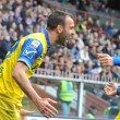 Sampdoria-Chievo: diretta live su Blitz8
