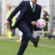 Sassuolo-Udinese: diretta live su Blitz10