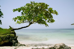 Repubblica dominicana