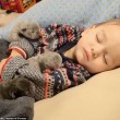 Bimbo dorme con tre cuccioli di cane, VIDEO commuove Fb