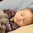 Bimbo dorme con tre cuccioli di cane, VIDEO commuove Fb3