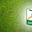 Serie B streaming diretta tv 36 giornata_5