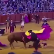 Video YouTube - Toro incorna torero nel sedere 3