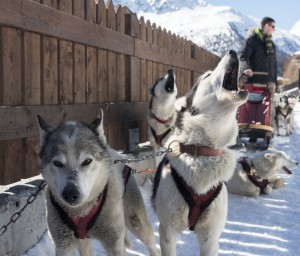 cose insolite da fare in Valtellina