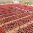 Kung fu, enormi figure realizzate da 26mila allievi8