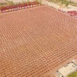 Kung fu, enormi figure realizzate da 26mila allievi3