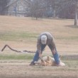 YOUTUBE Cane finge morte per non andare via dal parco 03