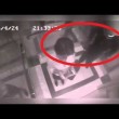 YOUTUBE Lui allunga le mani in ascensore, lei reagisce così 03