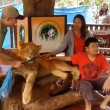 YOUTUBE Leone drogato per fare i selfie coi turisti01