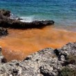 Gallipoli, mare diventa arancione per colpa delle alghe FOTO